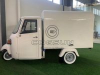 10.5FT Piaggio APE Food Trailer